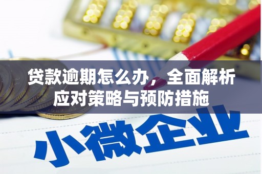 叶城贷款逾期怎么办，全面解析应对策略与预防措施