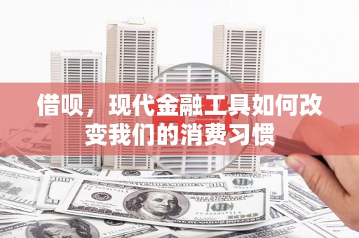 叶城借呗，现代金融工具如何改变我们的消费习惯