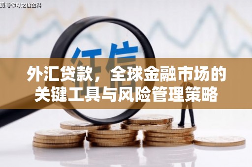 叶城外汇贷款，全球金融市场的关键工具与风险管理策略