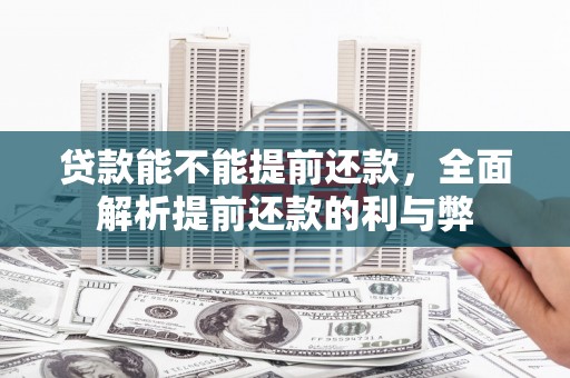 叶城贷款能不能提前还款，全面解析提前还款的利与弊