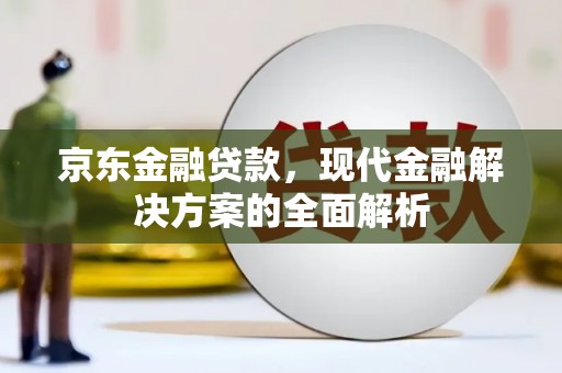 叶城京东金融贷款，现代金融解决方案的全面解析