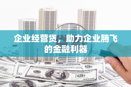 叶城企业经营贷，助力企业腾飞的金融利器