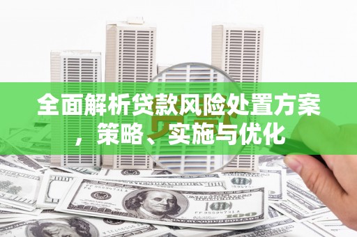 叶城全面解析贷款风险处置方案，策略、实施与优化