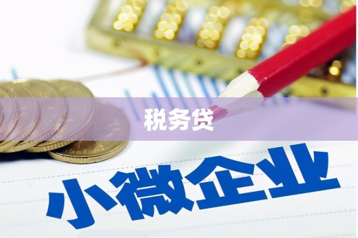 叶城税务贷