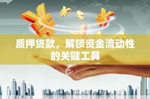 叶城质押贷款，解锁资金流动性的关键工具
