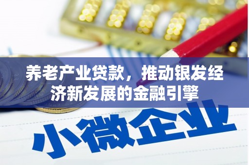 叶城养老产业贷款，推动银发经济新发展的金融引擎