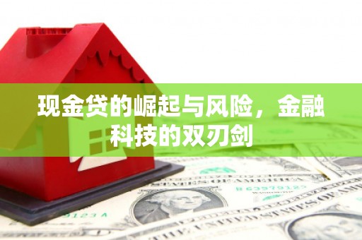 叶城现金贷的崛起与风险，金融科技的双刃剑