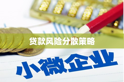 叶城贷款风险分散策略