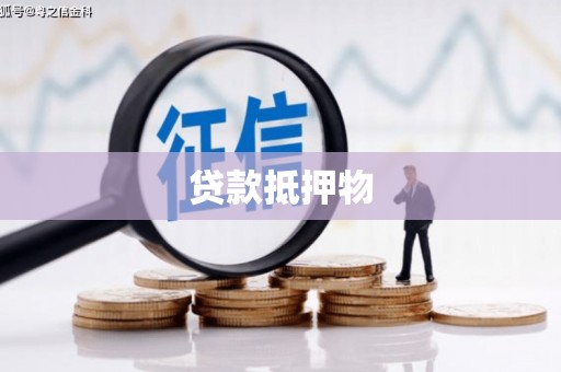 叶城贷款抵押物