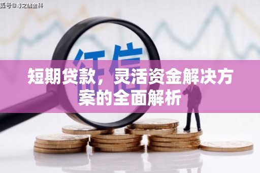 叶城短期贷款，灵活资金解决方案的全面解析