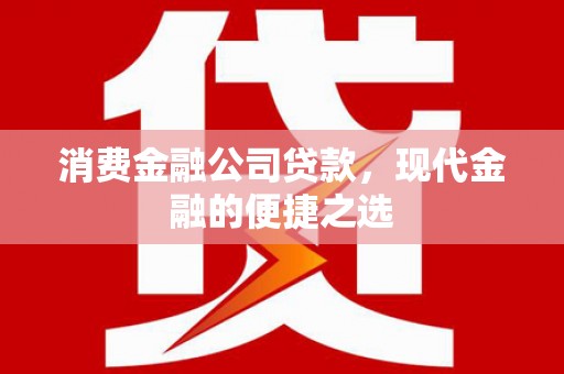 叶城消费金融公司贷款，现代金融的便捷之选