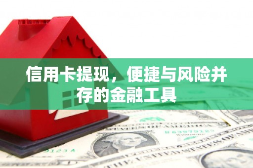 叶城信用卡提现，便捷与风险并存的金融工具
