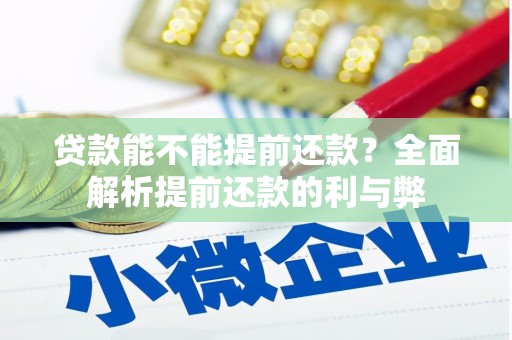 叶城贷款能不能提前还款？全面解析提前还款的利与弊