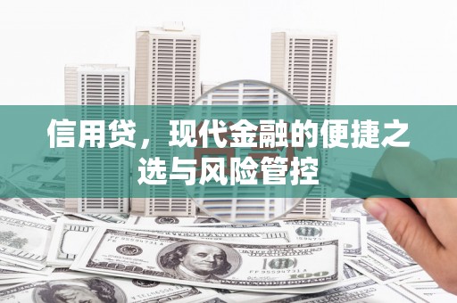 叶城信用贷，现代金融的便捷之选与风险管控