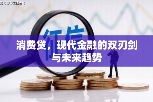叶城消费贷，现代金融的双刃剑与未来趋势