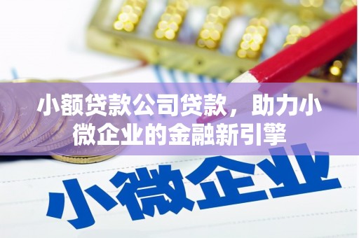 叶城小额贷款公司贷款，助力小微企业的金融新引擎