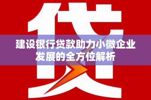 叶城建设银行贷款助力小微企业发展的全方位解析
