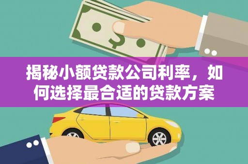叶城揭秘小额贷款公司利率，如何选择最合适的贷款方案