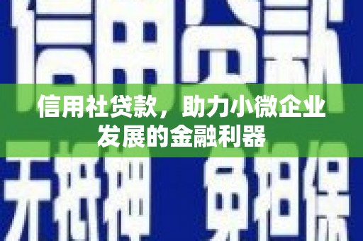 叶城信用社贷款，助力小微企业发展的金融利器