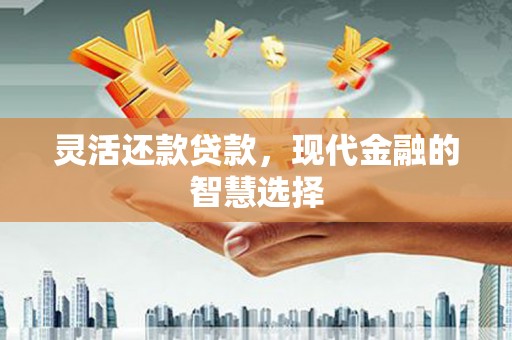 叶城灵活还款贷款，现代金融的智慧选择