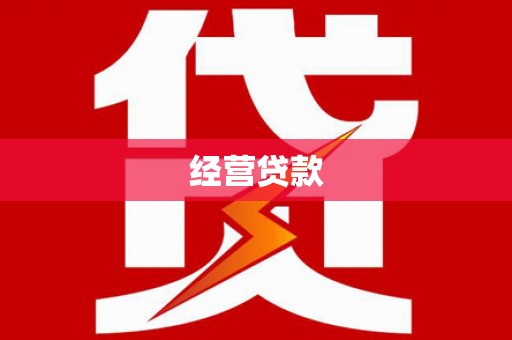 叶城经营贷款