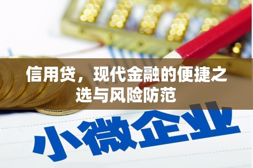 叶城信用贷，现代金融的便捷之选与风险防范