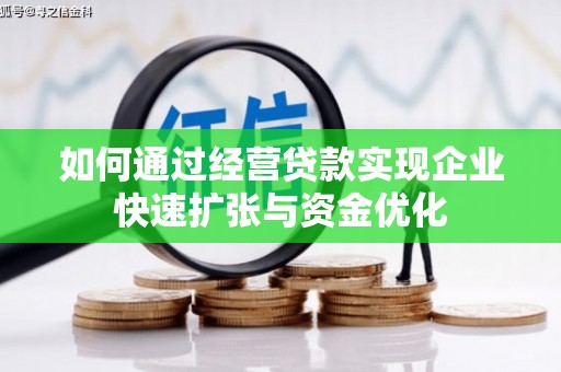 叶城如何通过经营贷款实现企业快速扩张与资金优化