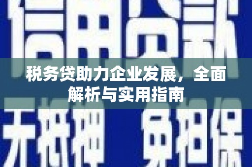 叶城税务贷助力企业发展，全面解析与实用指南