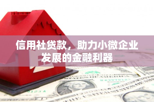 叶城信用社贷款，助力小微企业发展的金融利器