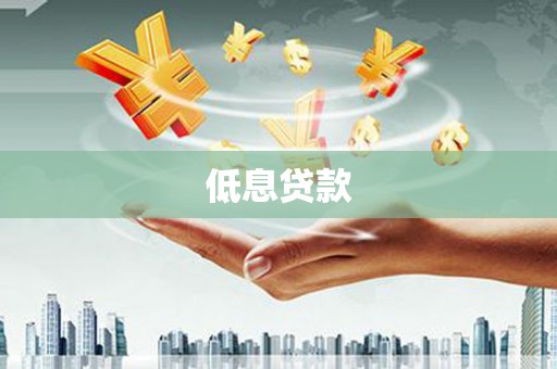 叶城低息贷款