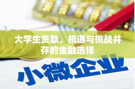 叶城大学生贷款，机遇与挑战并存的金融选择