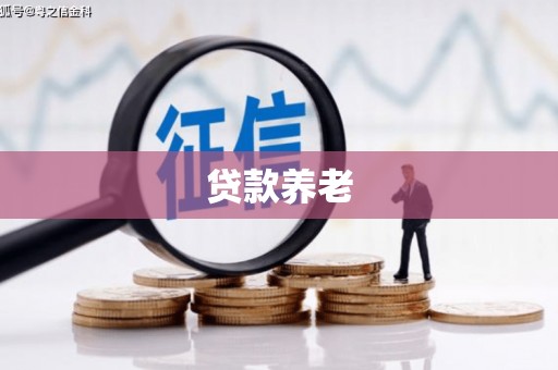 叶城贷款养老