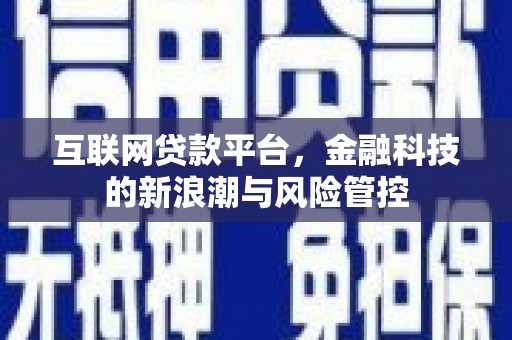 叶城互联网贷款平台，金融科技的新浪潮与风险管控