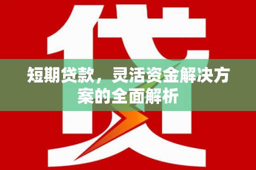 叶城短期贷款，灵活资金解决方案的全面解析