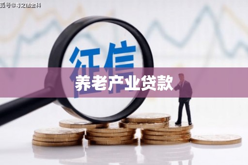 叶城养老产业贷款