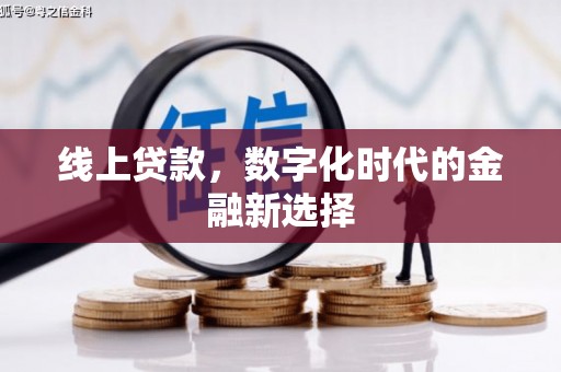 叶城线上贷款，数字化时代的金融新选择