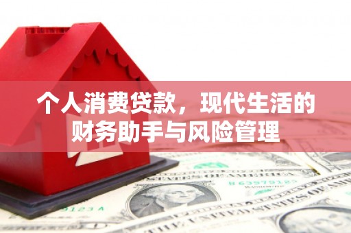 叶城个人消费贷款，现代生活的财务助手与风险管理