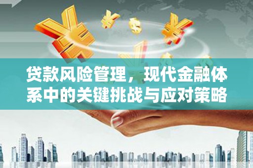 叶城贷款风险管理，现代金融体系中的关键挑战与应对策略