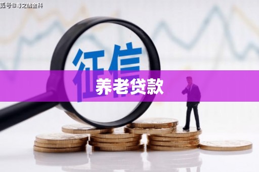 叶城养老贷款