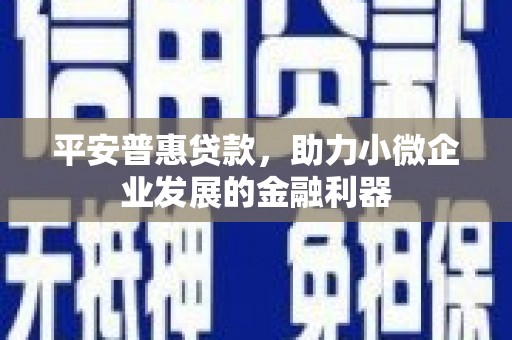叶城平安普惠贷款，助力小微企业发展的金融利器