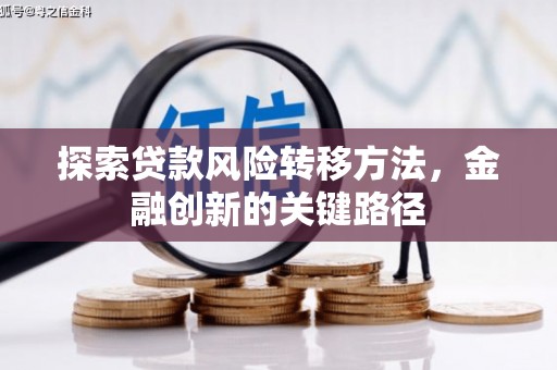 叶城探索贷款风险转移方法，金融创新的关键路径