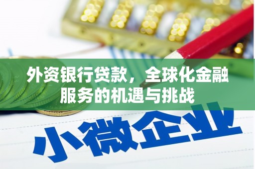 叶城外资银行贷款，全球化金融服务的机遇与挑战