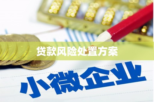 叶城贷款风险处置方案