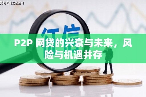 叶城P2P 网贷的兴衰与未来，风险与机遇并存