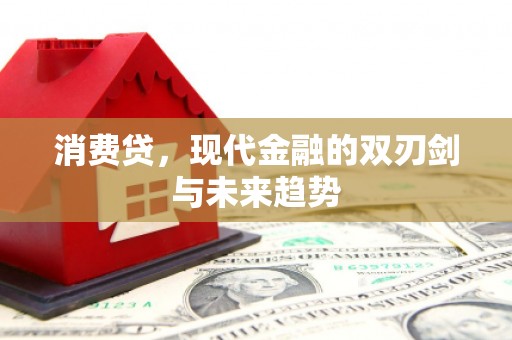 叶城消费贷，现代金融的双刃剑与未来趋势