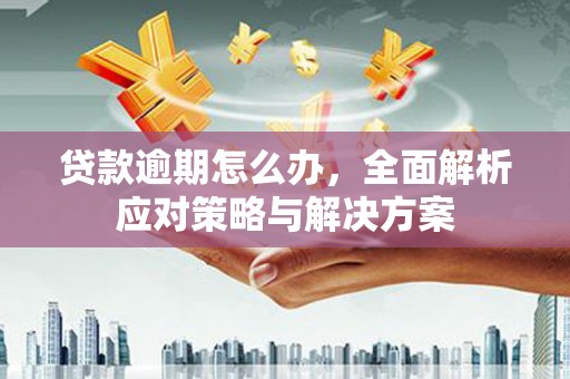 叶城贷款逾期怎么办，全面解析应对策略与解决方案