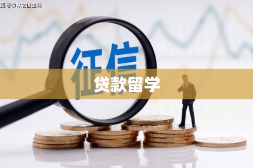 叶城贷款留学