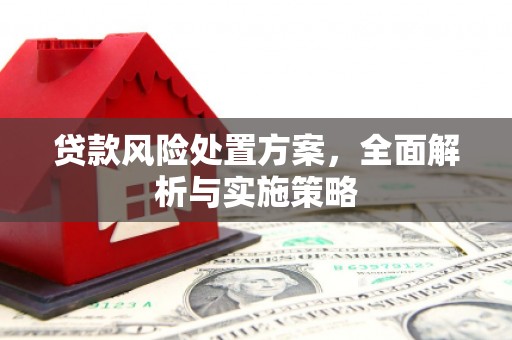 叶城贷款风险处置方案，全面解析与实施策略