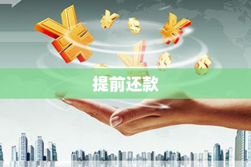 叶城提前还款