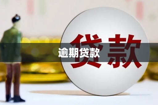 叶城逾期贷款